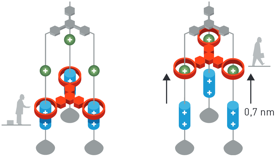 2016 Nobel Prize in Chemistry