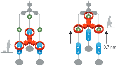 2016 Nobel Prize in Chemistry